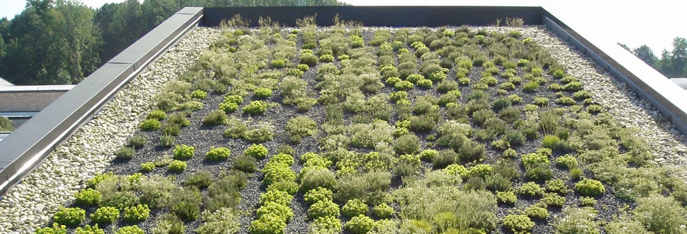 Techo Verde