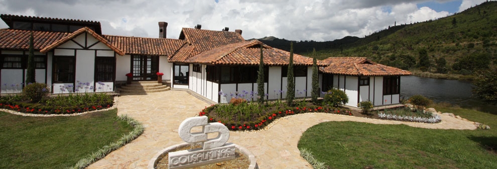 PROYECTO DE PAISAJISMO PARA COLSALMINAS LTDA 