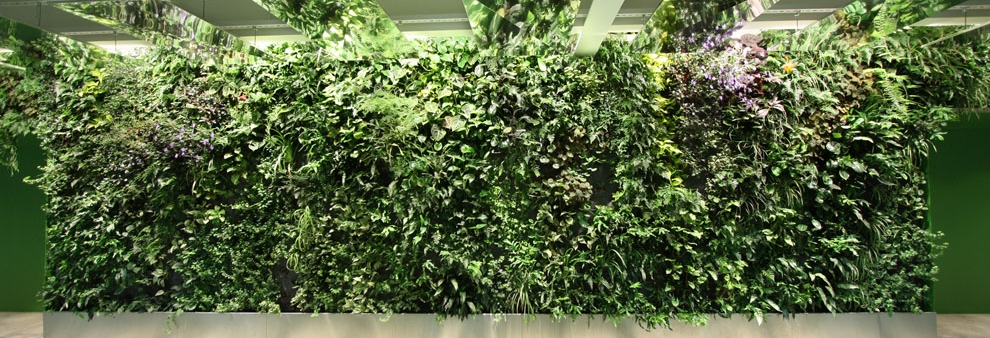 jardin vertical S