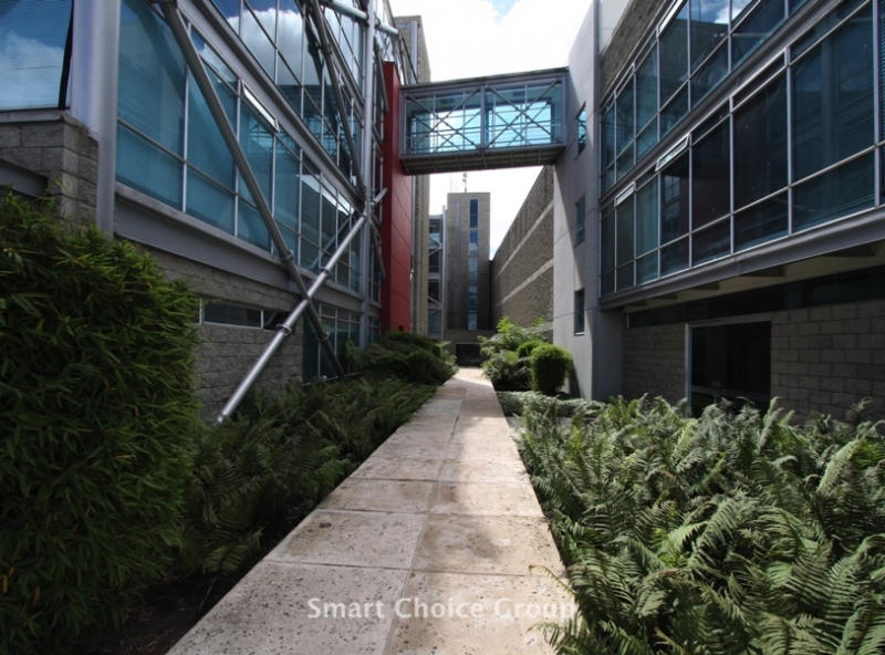 Portfolio Smart Choice