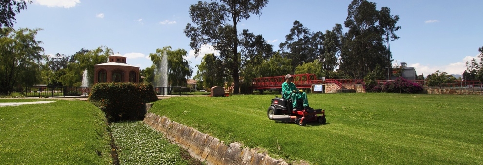 MANTENIMIENTO DE JARDINES Y ZONAS VERDES